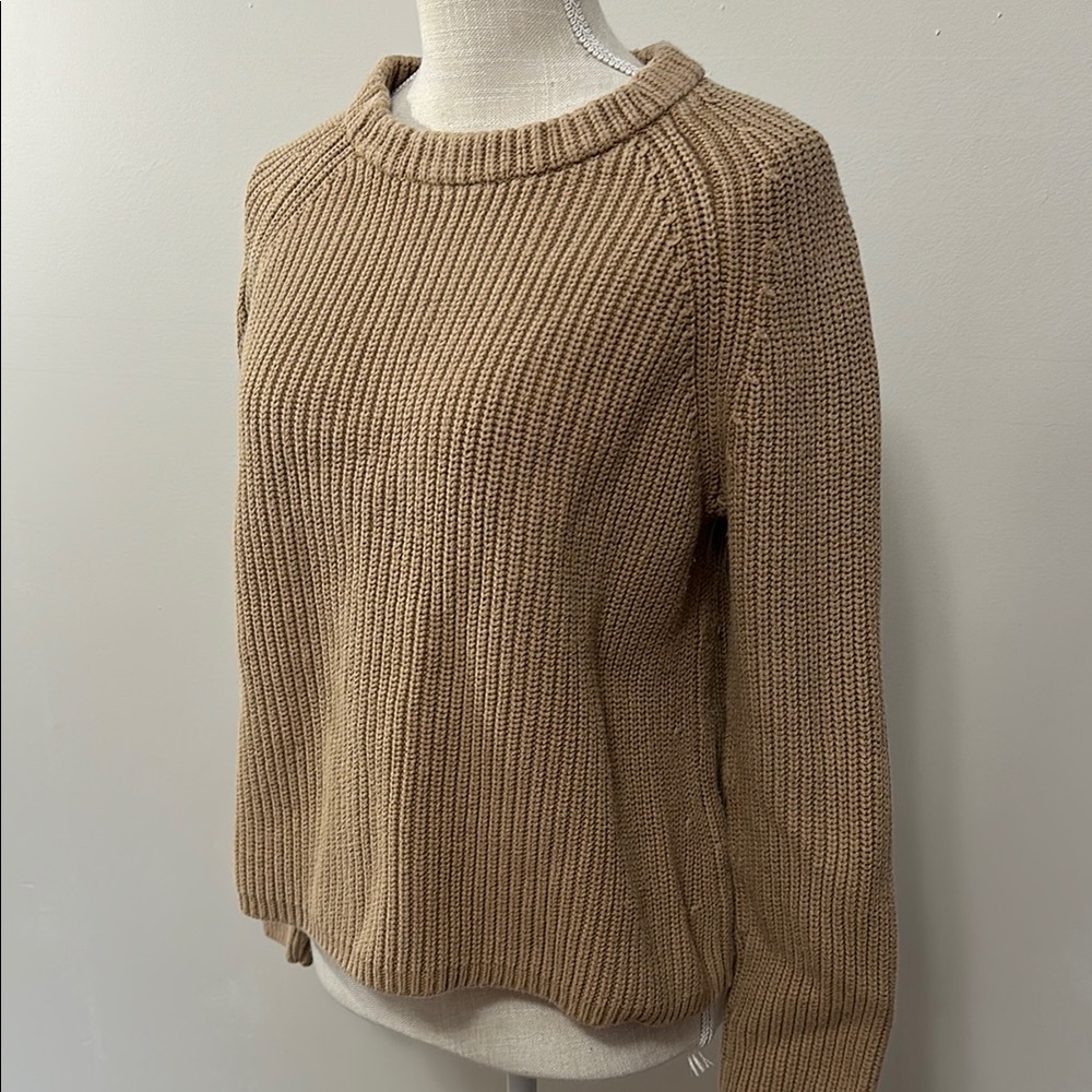 Quince Women's Crew Neck Sweater - Tan - Picture 3 of 10